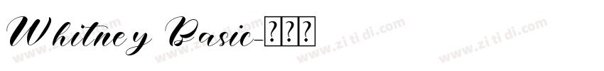 Whitney Basic字体转换